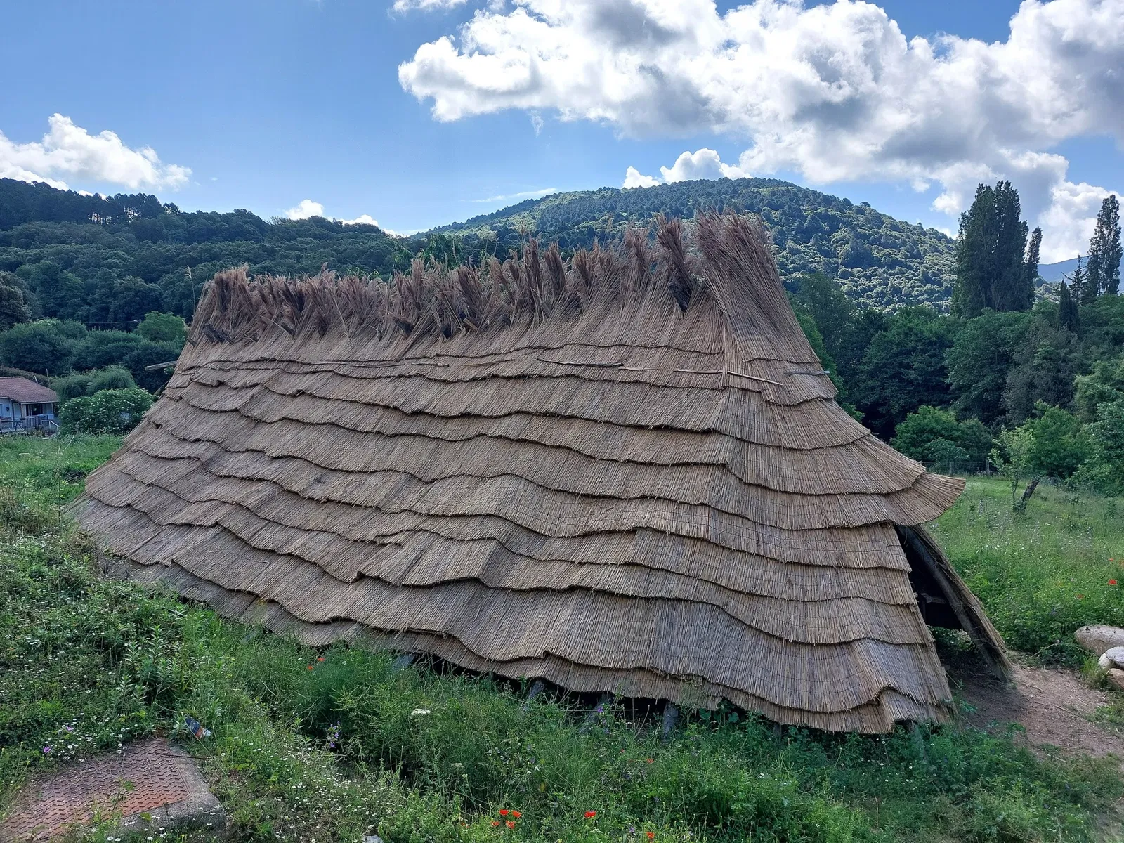 Museum of the Alta Rocca