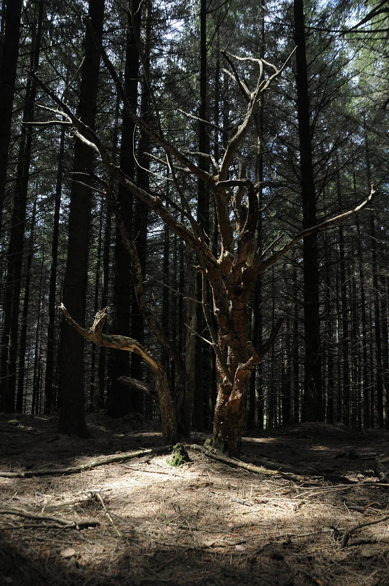 Domaine de Menez Meur