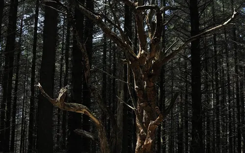 Domaine de Menez Meur