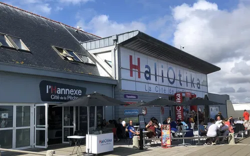 Haliotika - City of Fisheries