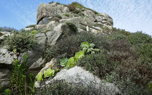 Jardin Exotique et Botanique de Roscoff