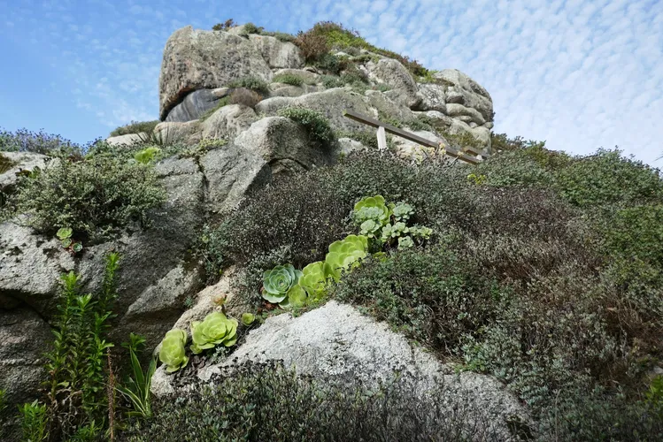 Jardin Exotique et Botanique de Roscoff