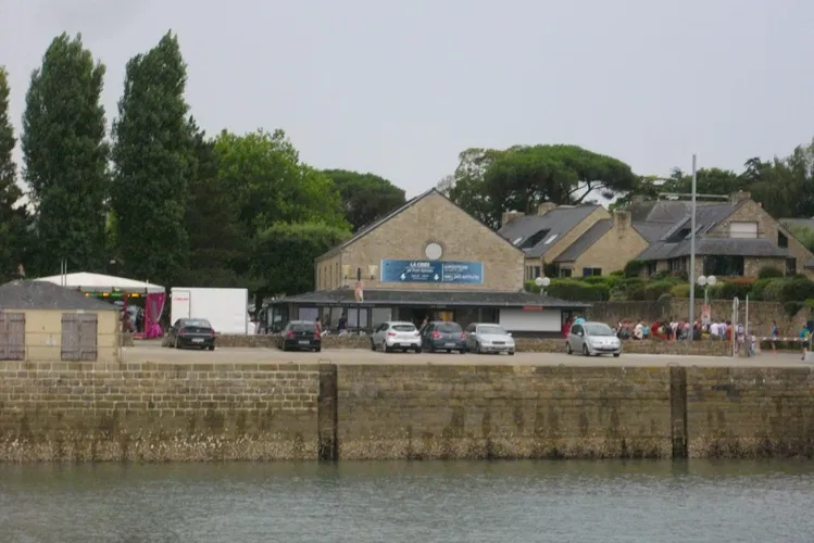 Auction of the Museum of Port Navalo