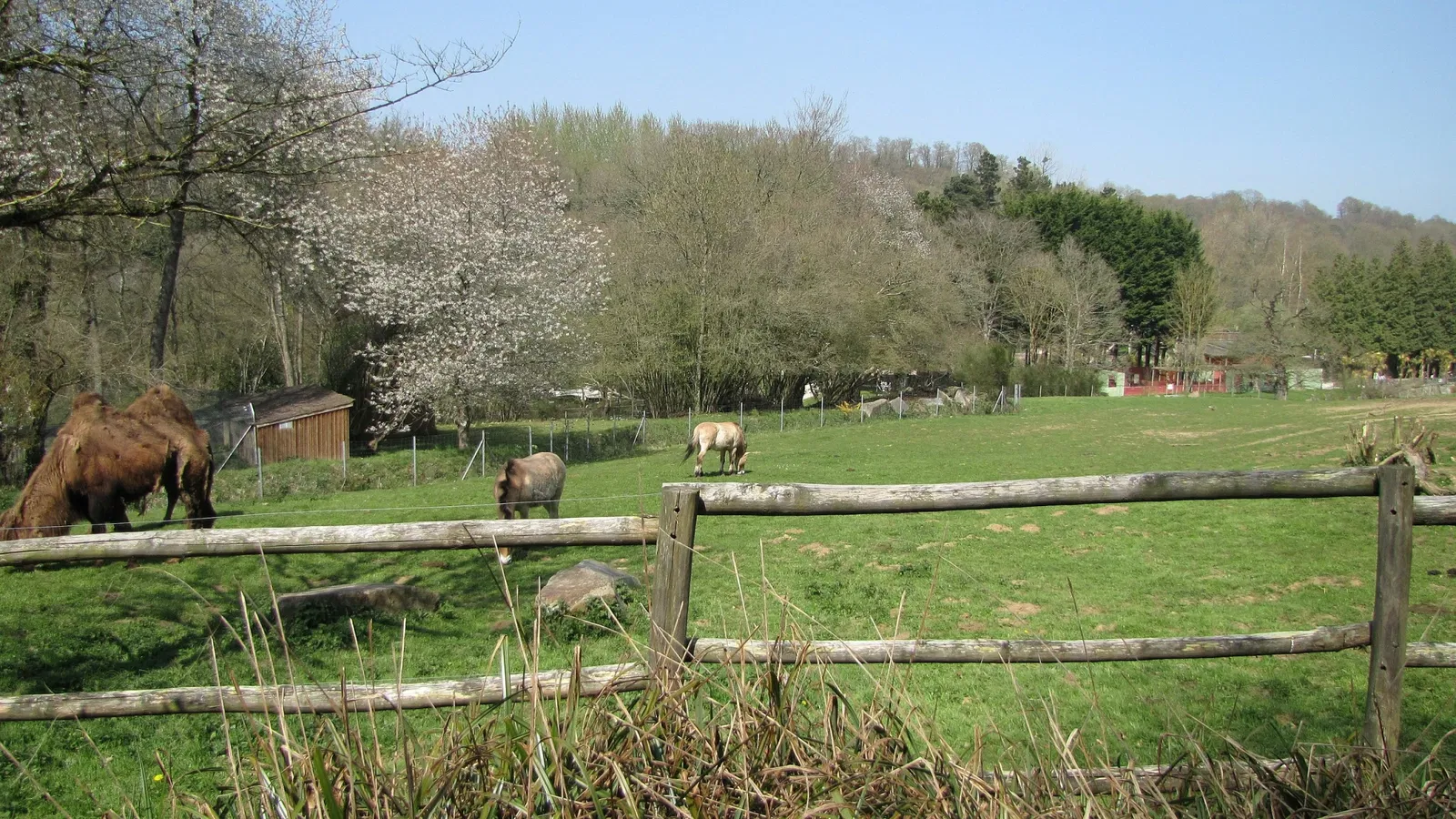 Zooparc de Trégomeur