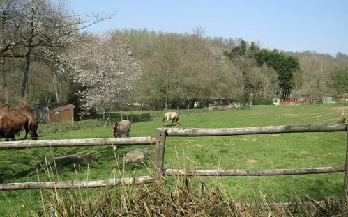 Zooparc de Trégomeur