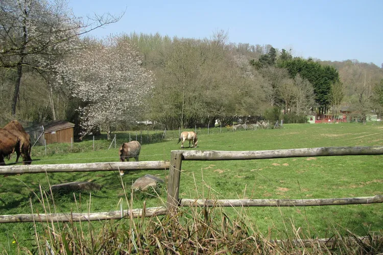 Zooparc de Trégomeur