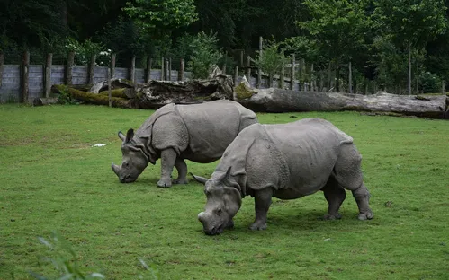Zoo and Botanical Garden of Branféré