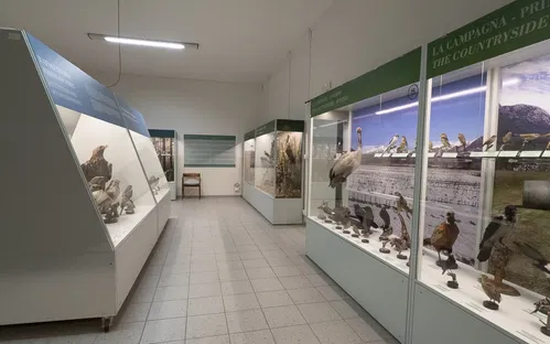 Museo Ornitologico Luigi Scanagatta