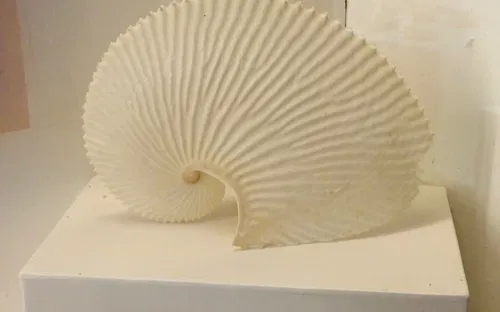 Museo di Storia Naturale dell’Università di Pisa