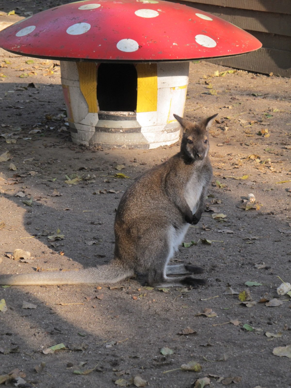 Familiepark Harry Malter