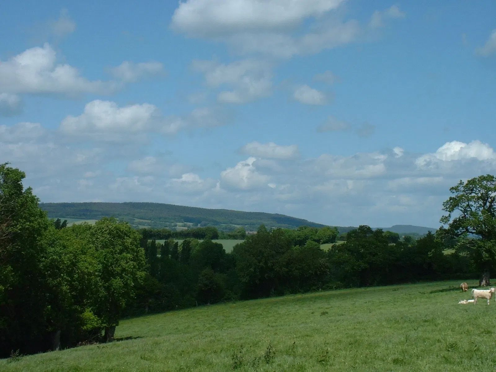 Regional Nature Park