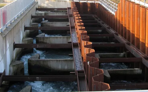 Fishway - Passage 309