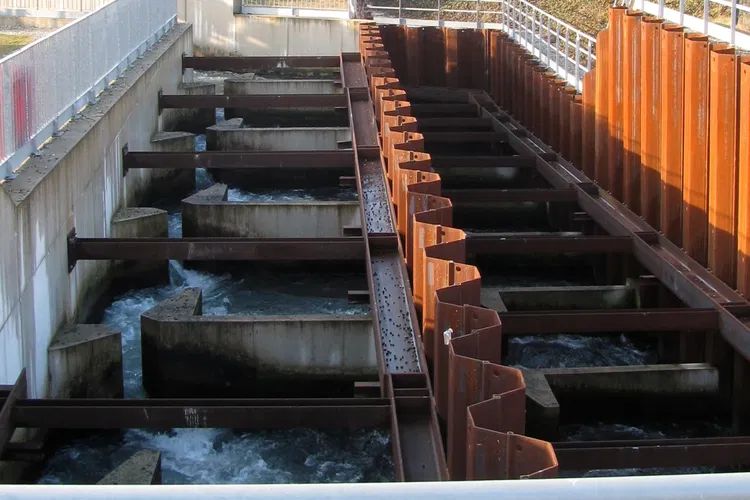 Passe à Poissons - Fischtreppe Gambsheim