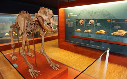 Museum Ladin Ursus ladinicus