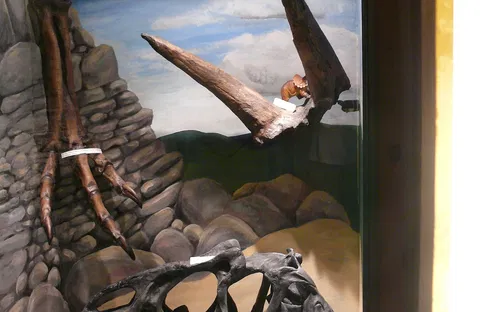 The prehistoric world