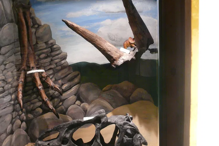 The prehistoric world