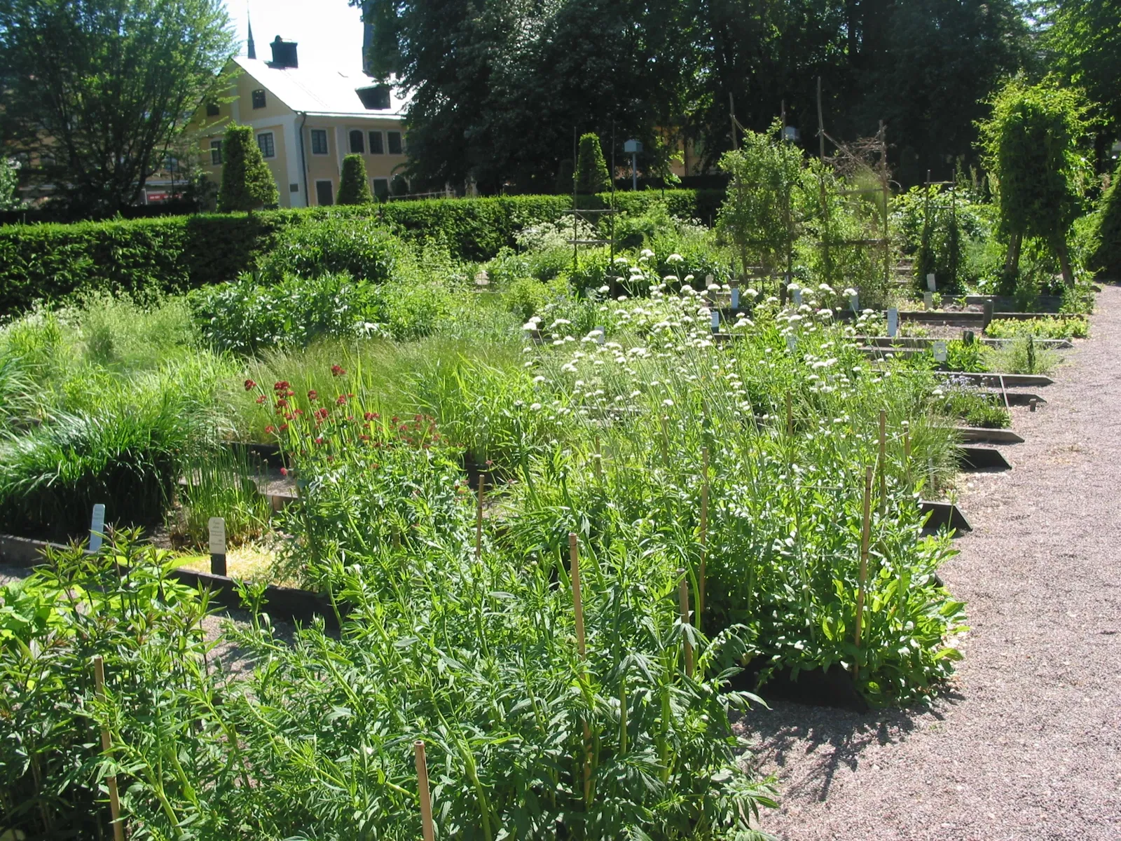 The Linnaeus Garden