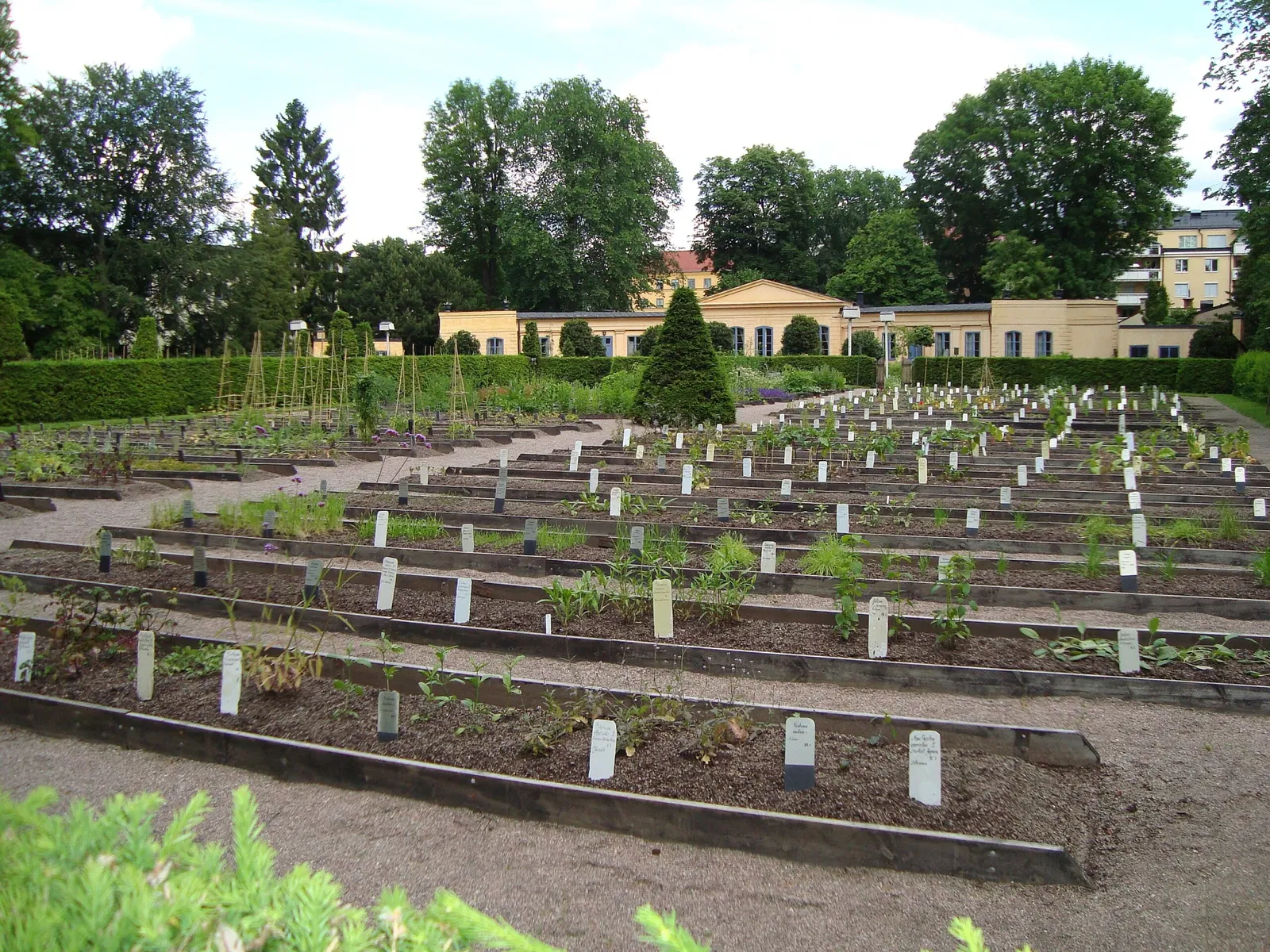 The Linnaeus Garden