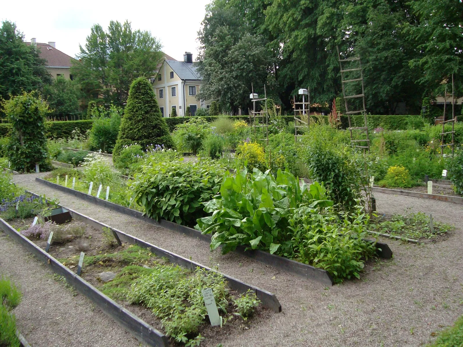Linnaeus Garden