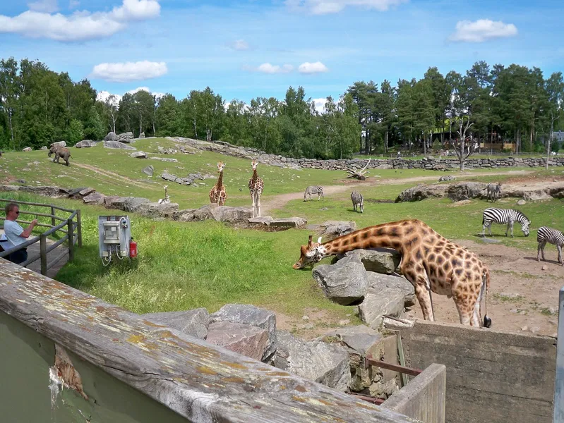 Borås ZOO (Borås) - Besucherinformationen & Bewertungen