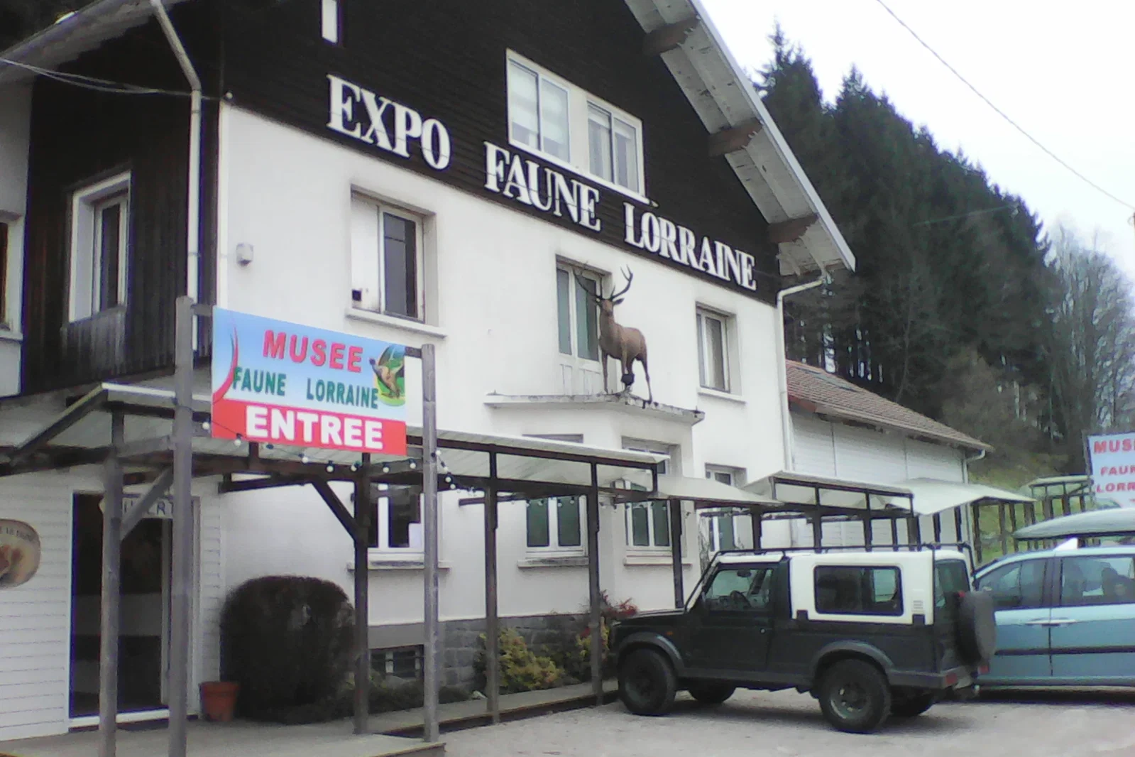 Musée Faune Lorraine