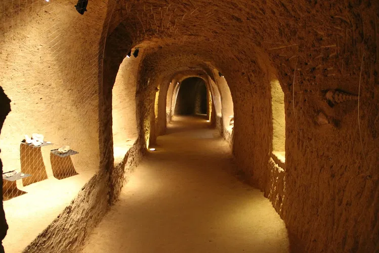 La Cave aux Coquillages