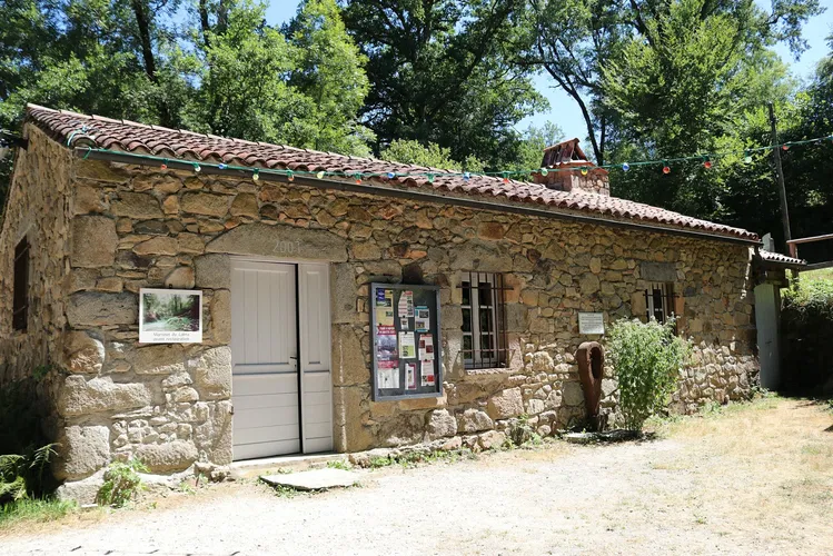 Les Martinets du Lezert