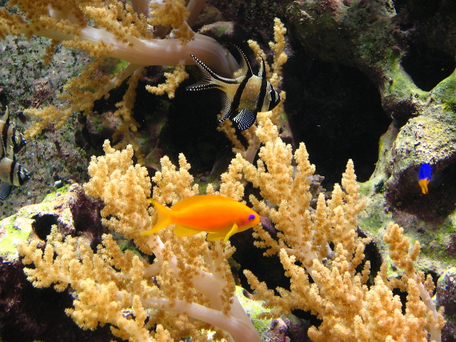 Aquazoo – Löbbecke-Museum Düsseldorf