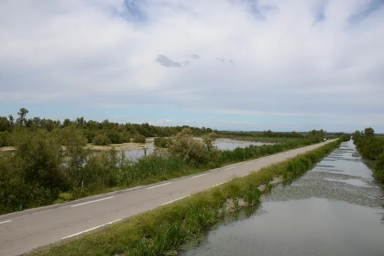 Centre de Découverte du Scamandre