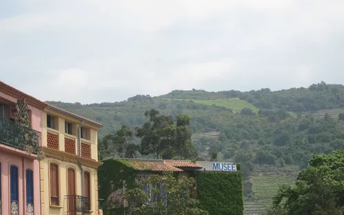 Museum of Modern Art