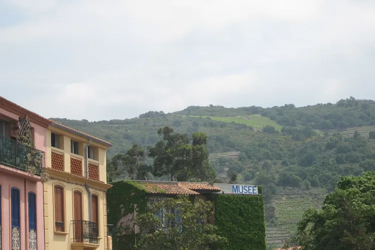 Museum of Modern Art