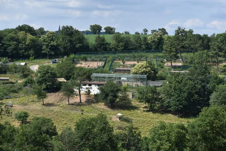 The Three Valleys Zoo