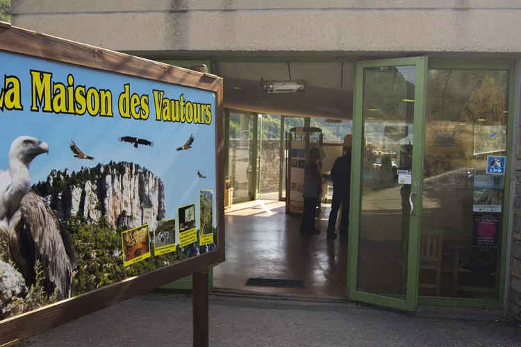 Maison des Vautours