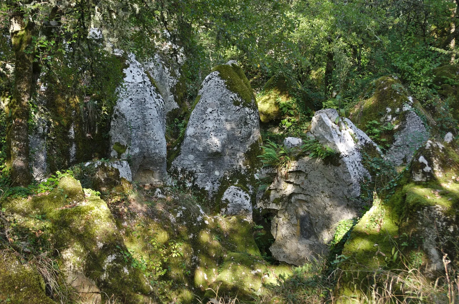 Phosphatières du cloup d'Aural