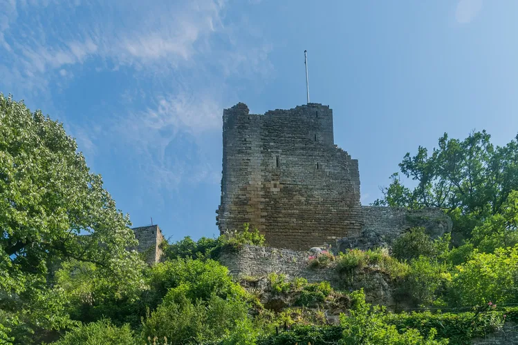 Castle of Caylus