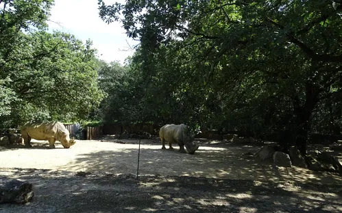 Zoological Park African Safari