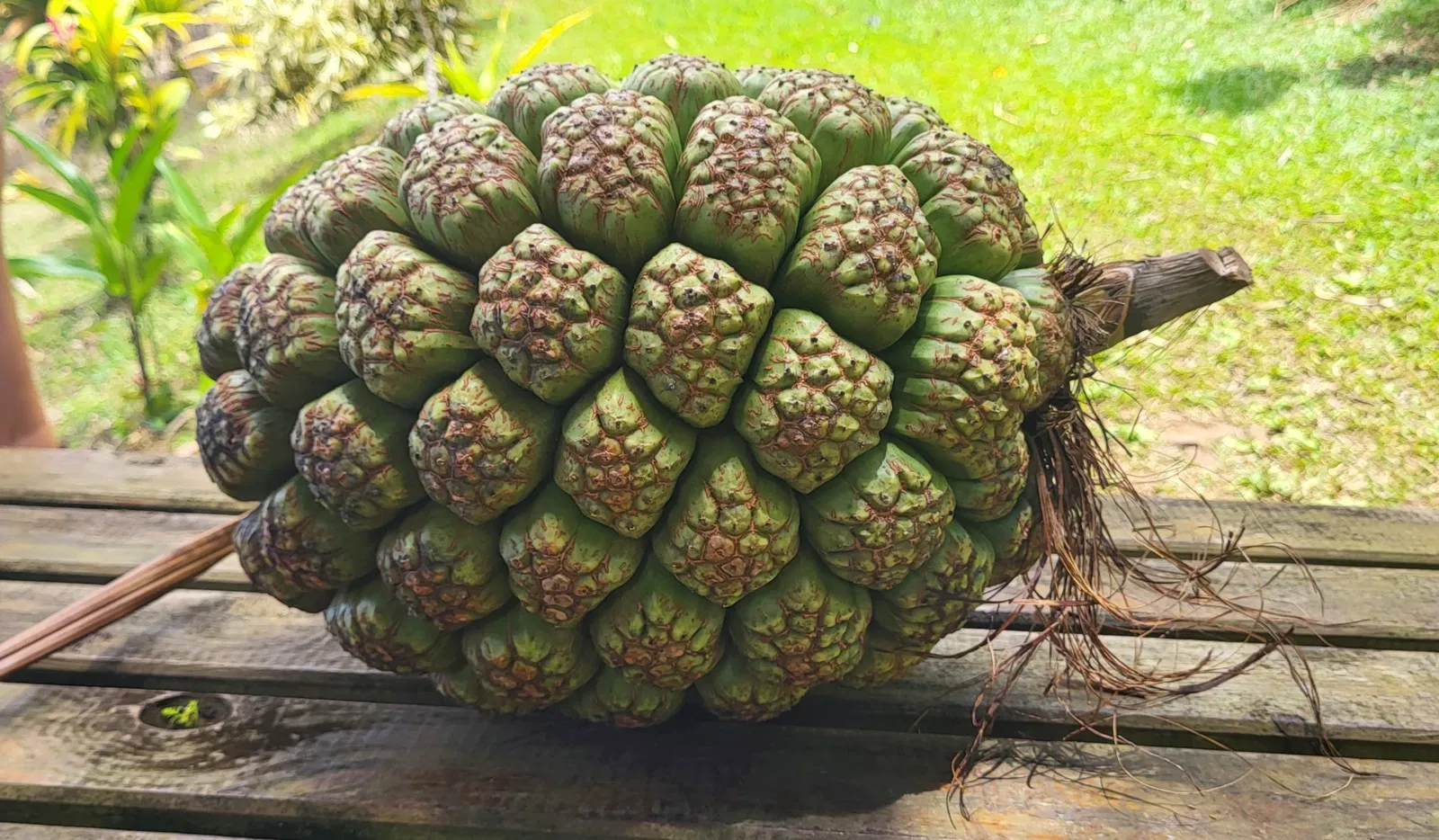 Le Jardin de la Montagne