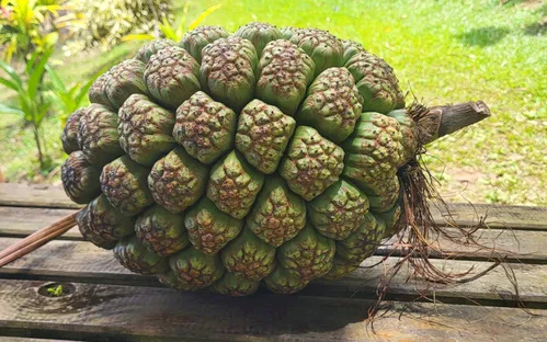 Le Jardin de la Montagne