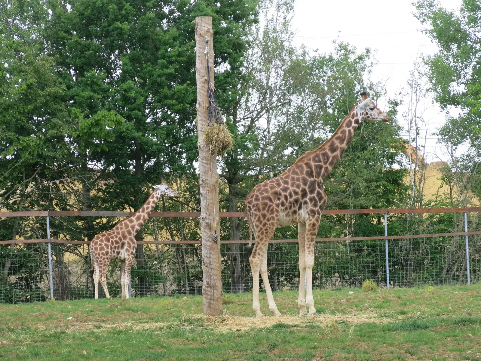 Zoo du Bois d'Attilly