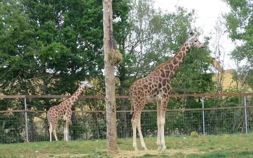 Zoo du Bois d'Attilly