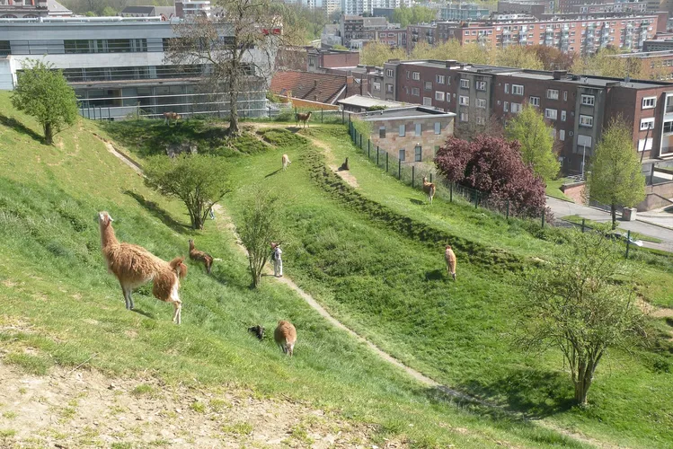 Zoo de Maubeuge