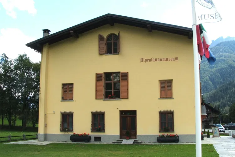 Alpenfaunamuseum Beck Peccoz- Museo Regionale della Fauna Alpina