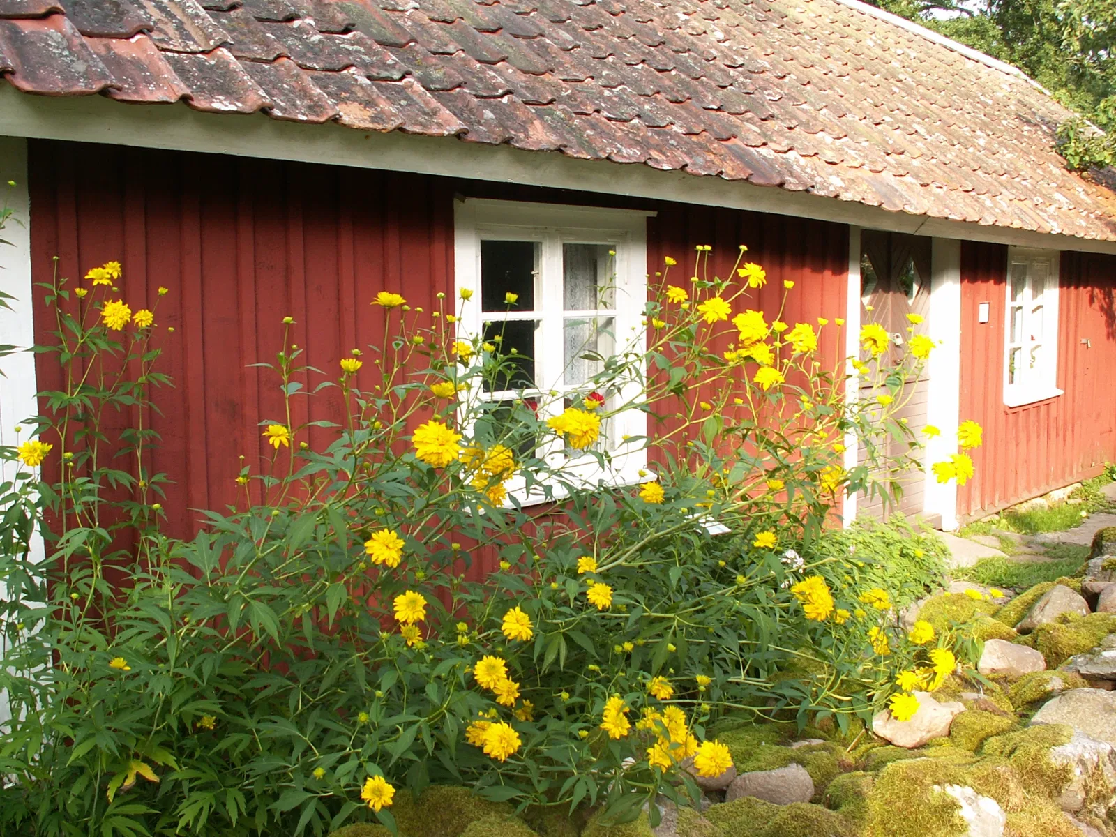 Åsle Tå Upplevelsemuseum