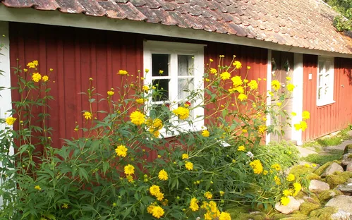 Åsle Tå Upplevelsemuseum