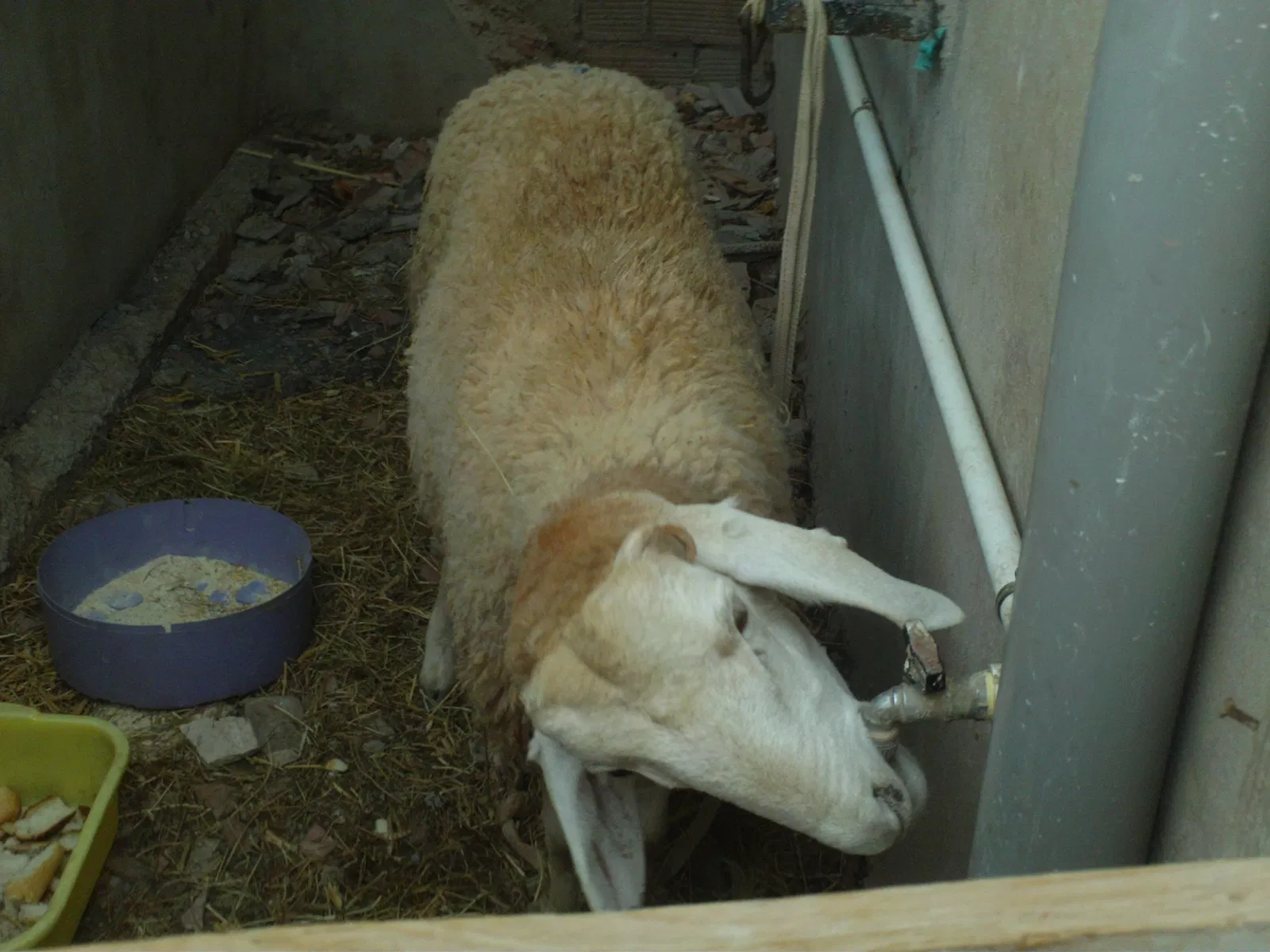 Natur'Zoo de Mervent