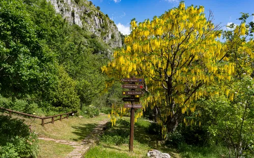 Giardino Botanico Maria Ansaldi Pania di Corfino