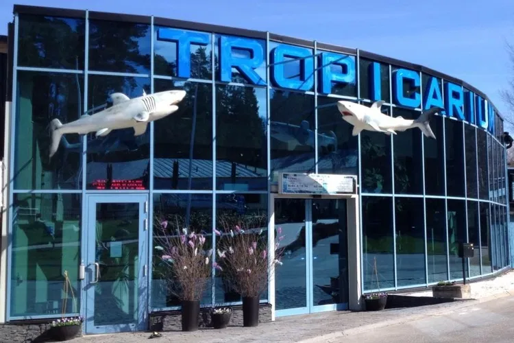 Tropicarium Kolmården