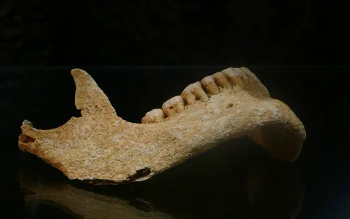 Musée du Pays de Retz