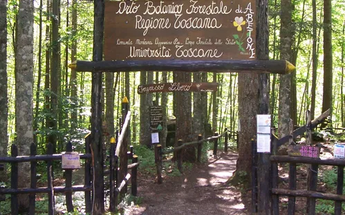 Orto Botanico Forestale dell'Abetone