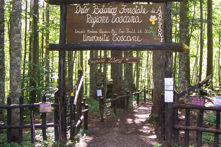 Orto Botanico Forestale dell'Abetone